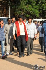 Current Theega Movie Platinum Disc Function